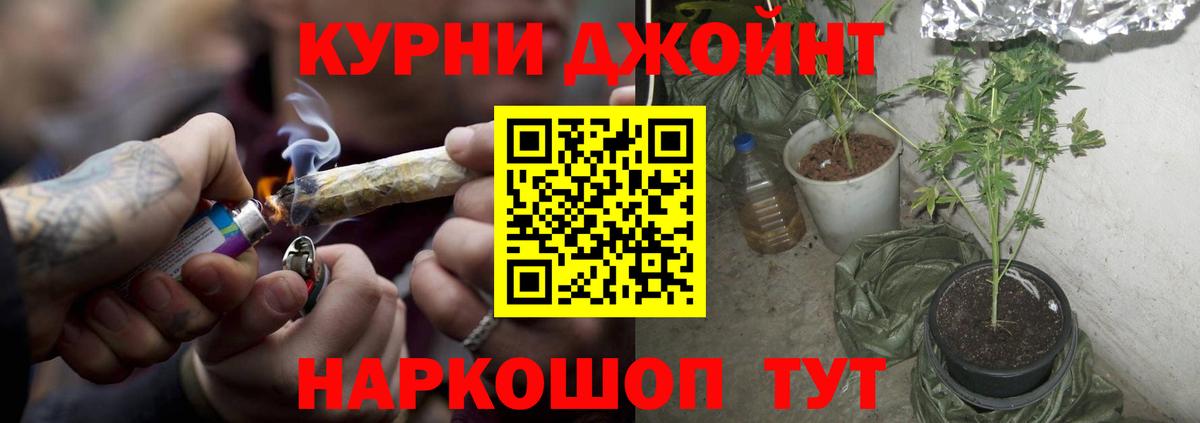 Бошки марихуана марихуана  Вход с VPN  Белорецк  Шишки марихуана план 